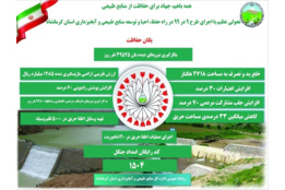 اینفوگرافیک