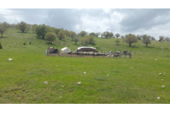 عکس‌های مرتع