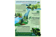 فرایند مشارکت از بر اساس بند ب ماده ۲۹