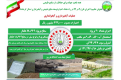 اینفوگرافیک