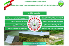 اینفوگرافیک