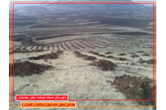 عکس‌های جنگل