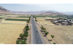 عکس‌های جنگل