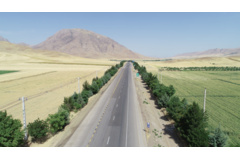 عکس‌های جنگل