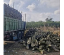 کشف و ضبط ۸۰۰۰ کیلوگرم چوب درختان جنگلی گرمسیری توسط یگان حفاظت استان فارس