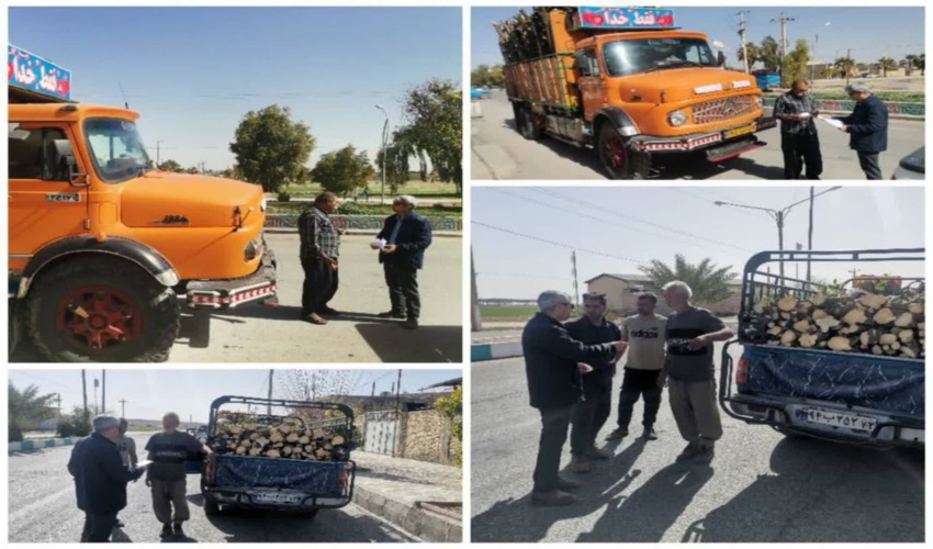 بازرسی محموله های حمل چوب در محورهای مواصلاتی شهرستان فسا