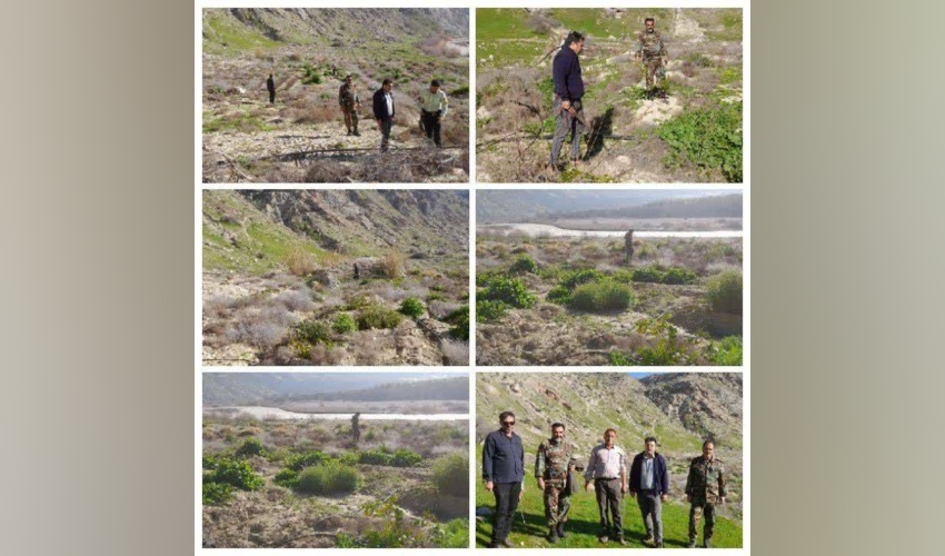 بازپس‌گیری ۱۰٫۰۰۰ مترمربع اراضی تصرفی در شهرستان رستم