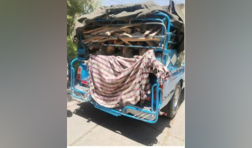 توقیف خودروی حامل چوب‌های جنگلی غیرمجاز در فسا