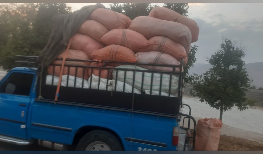 کشف و توقیف یک دستگاه خودروی نیسان حامل گیاه دارویی آویشن در شهرستان بختگان