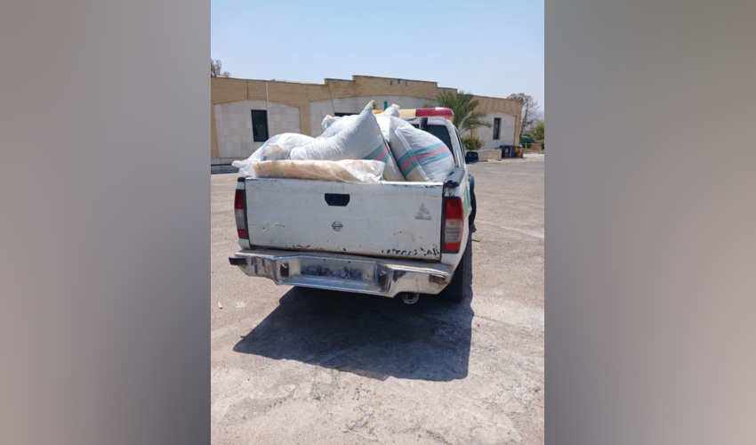 کشف و ضبط بیش از ۶۰ کیلوگرم گیاه دارویی آویشن کوهی در شهرستان خفر