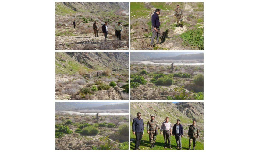 بازپس‌گیری ۱۰٫۰۰۰ مترمربع اراضی تصرفی در شهرستان رستم