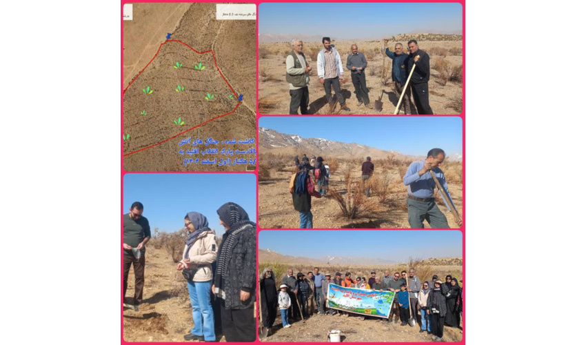 برنامه ۱۶۷ کاشت بذور جنگلی در ۵٫۶ هکتار از جنگل‌های دچار حریق شده  شهرستان اقلید